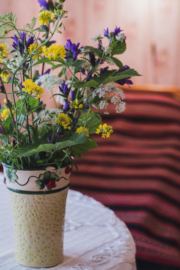 Kihnu Kuraga Homestay Lemsi エクステリア 写真
